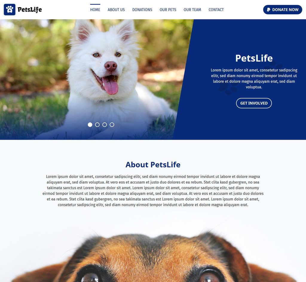 <a title="View Live Demo" href="http://template101.listedhosting.org/" target="_blank" rel="noopener">View Live Demo</a>