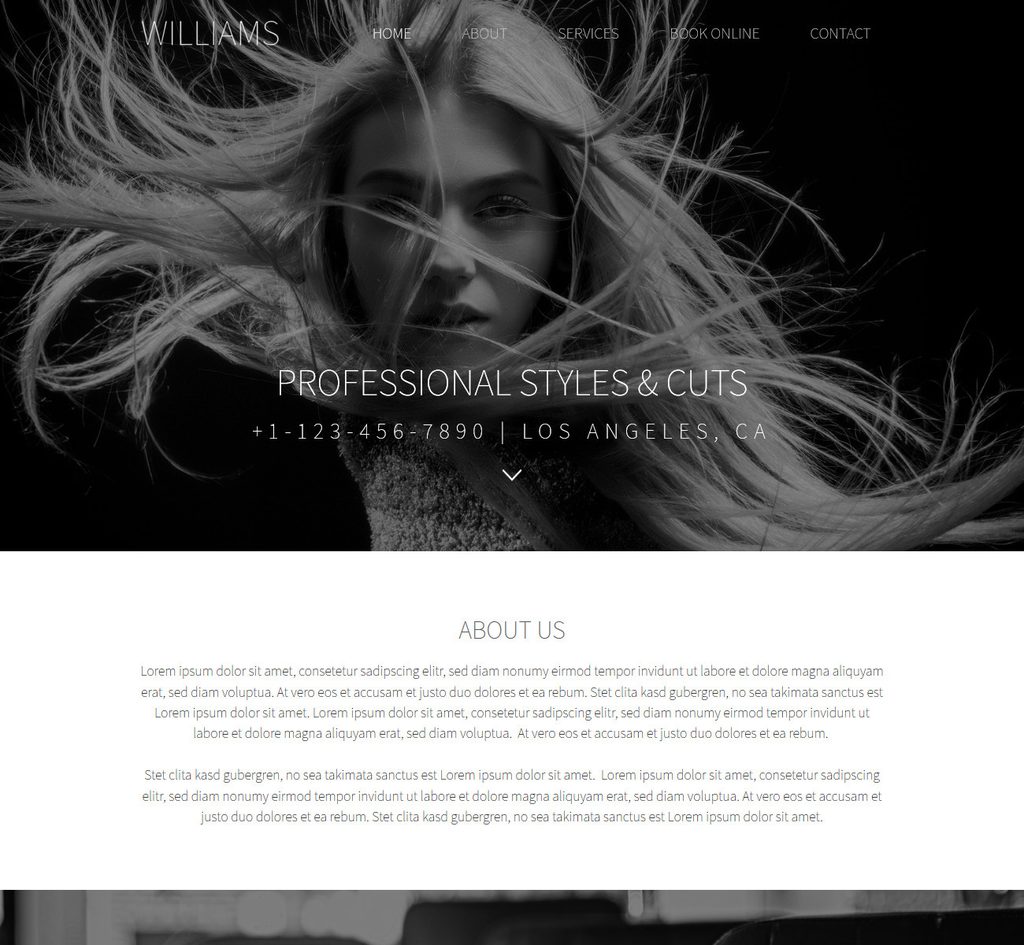 <a title="View Live Demo" href="http://template126.listedhosting.org/" target="_blank" rel="noopener">View Live Demo</a>