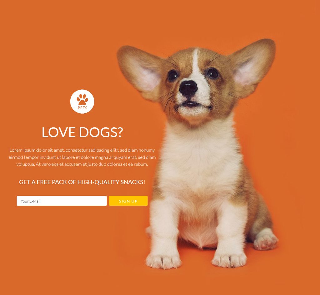 <a title="View Live Demo" href="http://template143.listedhosting.org/" target="_blank" rel="noopener">View Live Demo</a>