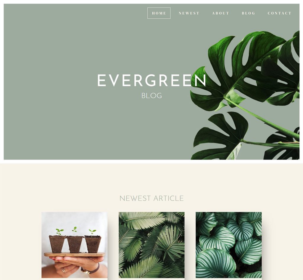<a title="View Live Demo" href="http://template51.listedhosting.org/" target="_blank" rel="noopener">View Live Demo</a>