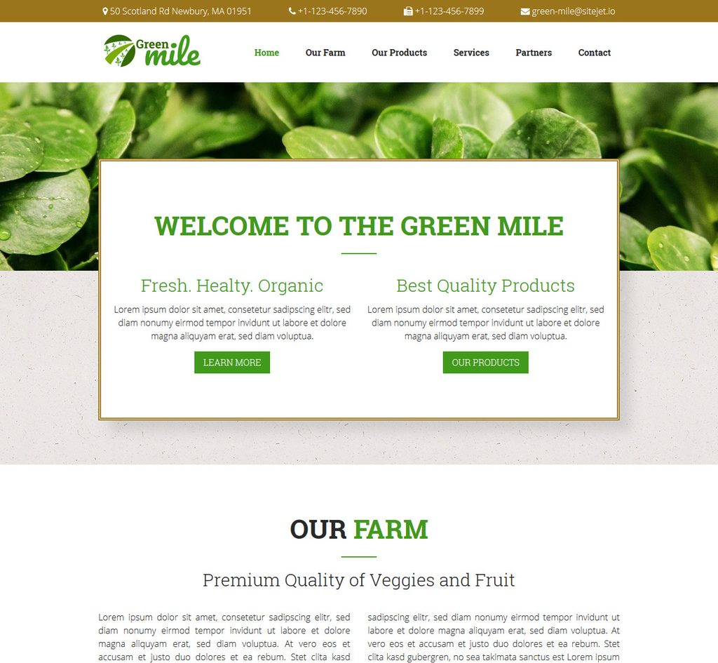 <a title="View Live Demo" href="http://template86.listedhosting.org/" target="_blank" rel="noopener">View Live Demo</a>